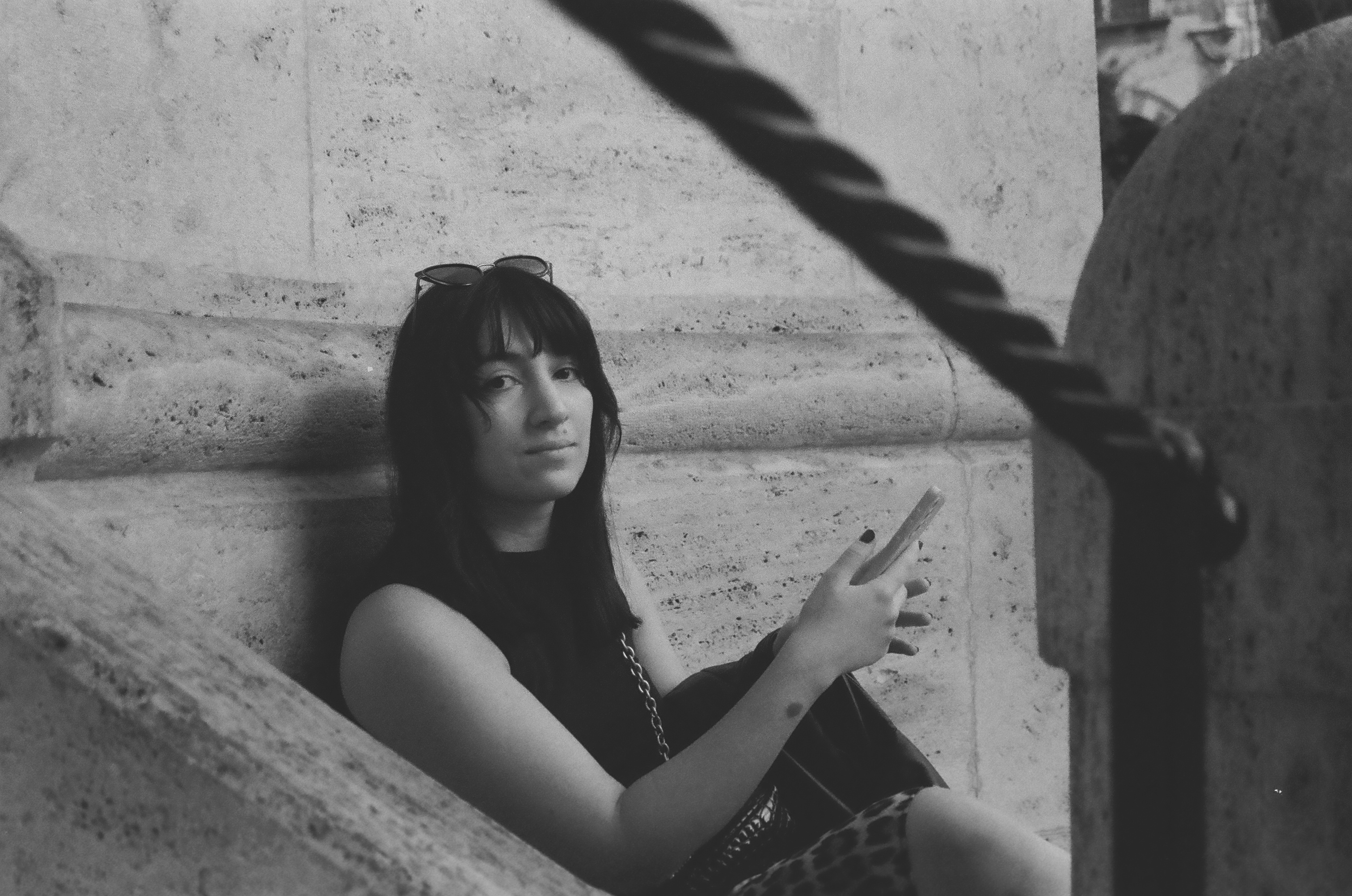 Roma 24